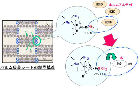 ホルムアルデヒド吸着、分解シート