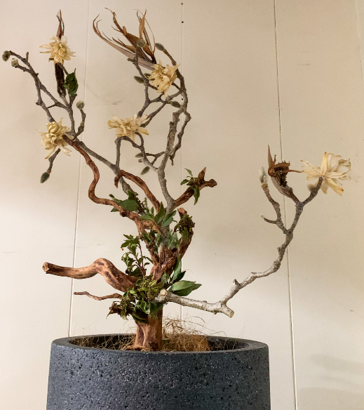 観賞用ドライ植栽鉢『蒼枯鉢』