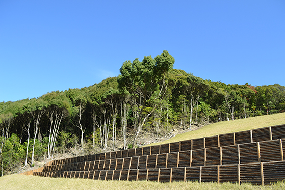 自然との共生を実現する斜面安定工法　全天候フォレストベンチ工法