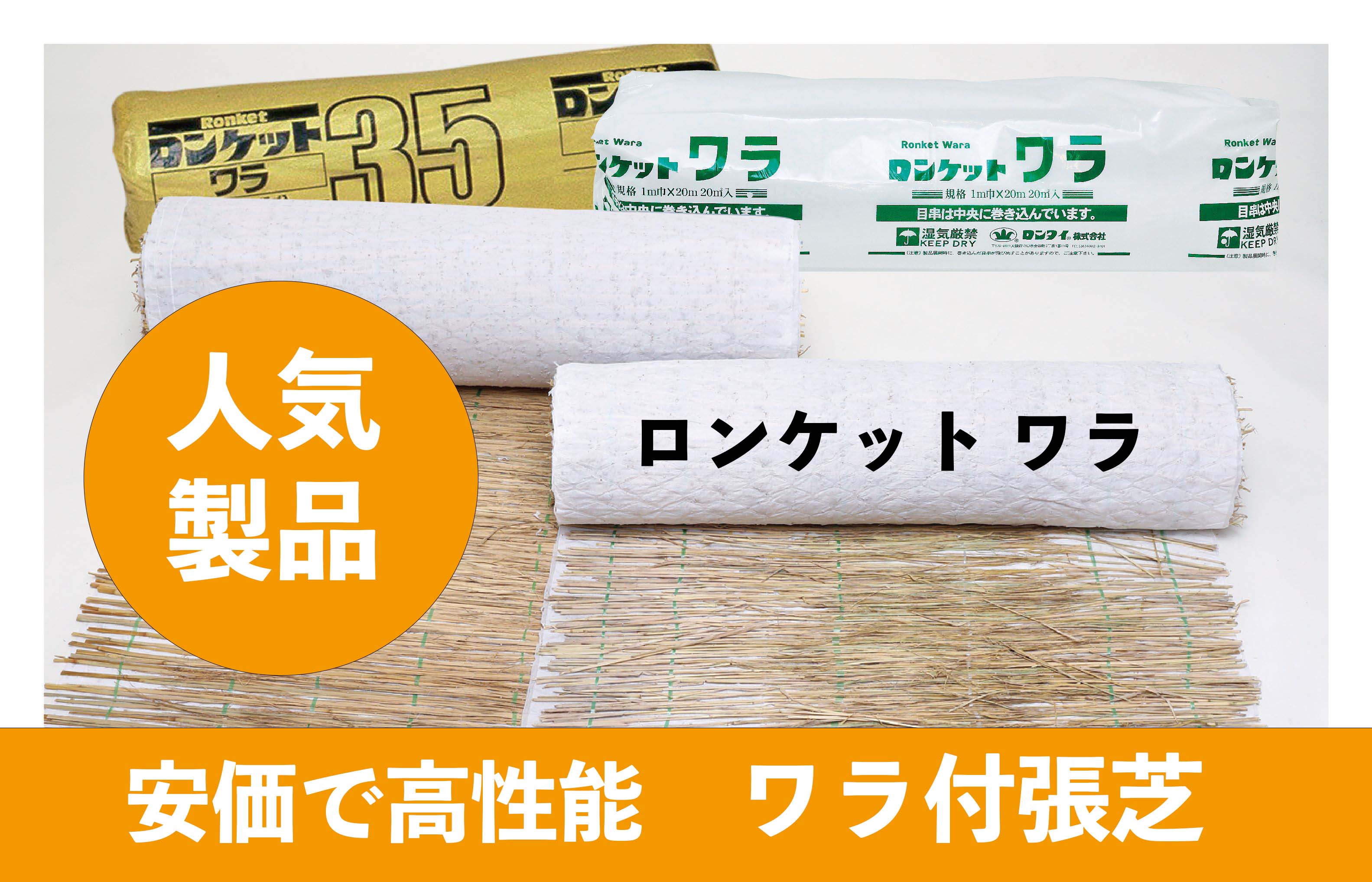 ワラ付張芝『ロンケットワラ』