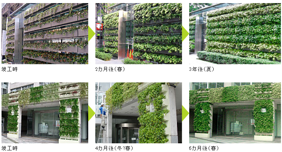 壁面緑化システム『EPSグリーンウォール』＜構造と特長＞