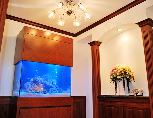 インテリア水槽