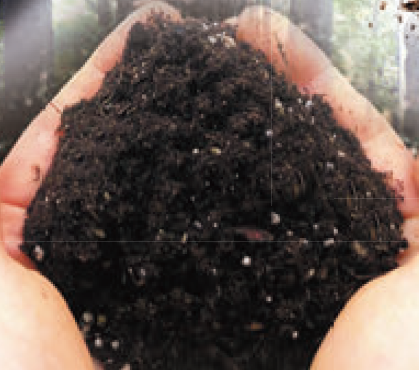 充填材『D-REY chip』