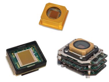 SCD社製InGaAsディテクタ Cardinal[SWIR]