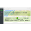 Remote monitoring and control system