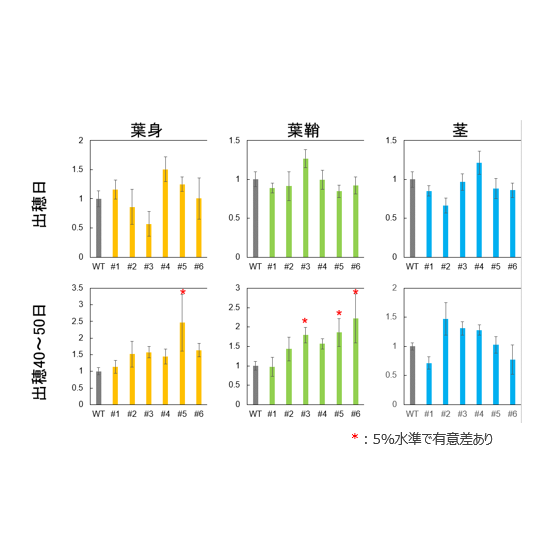 T24-049_1.png