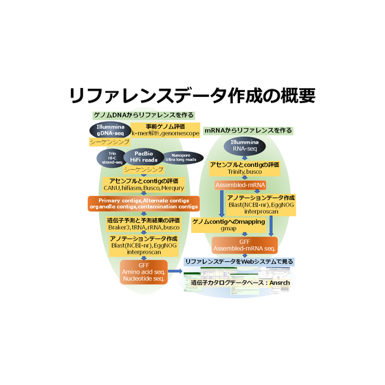 リファレンス作成カタログ20240325.png
