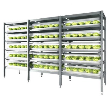 植物工場ラック『アルファーム』