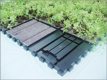 特殊緑化システム　「EGプランタ」