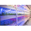 ★Active in the agricultural field★Hypochlorous acid water★RemTeria:TA-1★