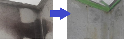 西武消毒のカビ処理