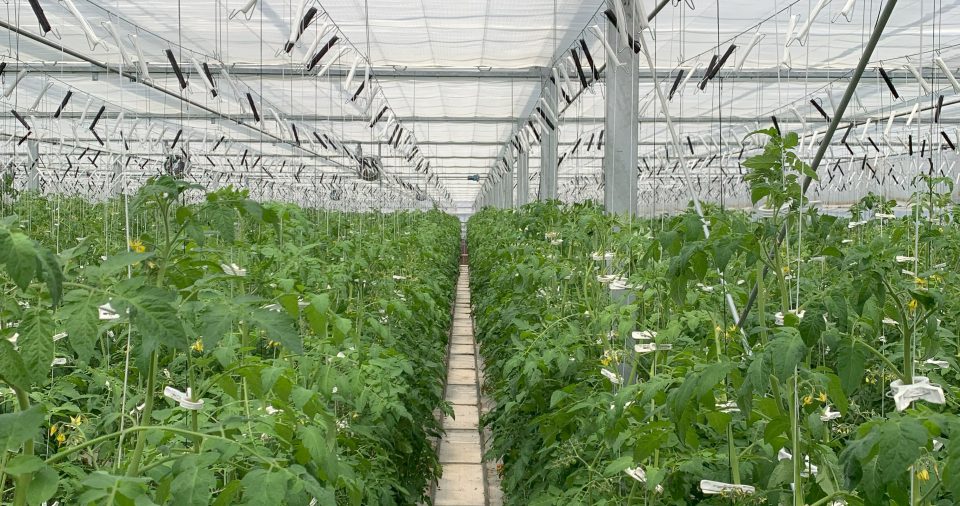 環境制御オンラインセミナー