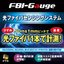 Fiber Optic Sensing System "FBI-Gauge"