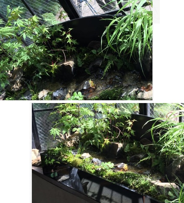 【黒仕様 全天候型】TypeII(渓流ユニット900)