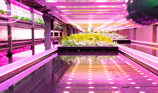 植物プラント『G Line』