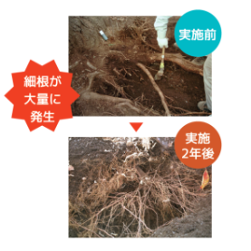 有機・無機 複合土壌改良材『OH-C』