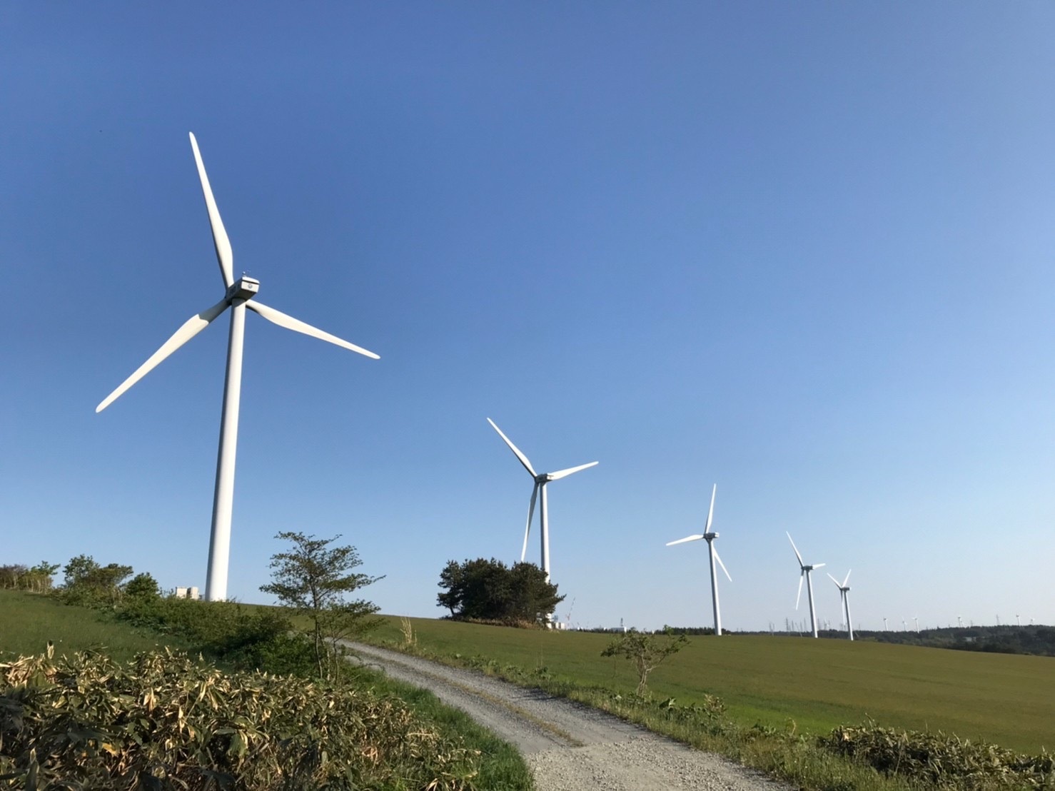 エネルギープロジェクトサービス