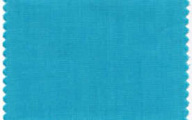 バイアステープ『600 T/Cブロード』