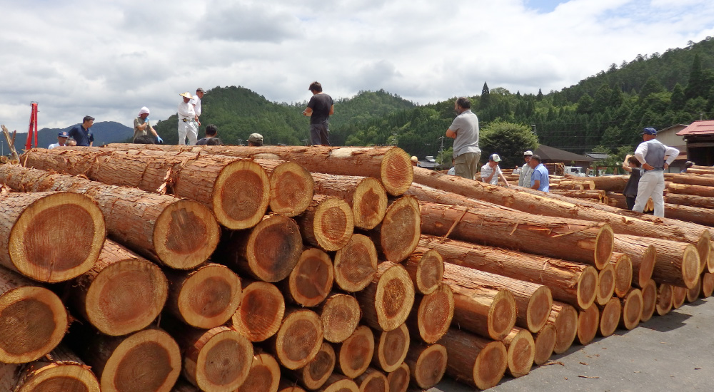 国産木材『京若狭材』