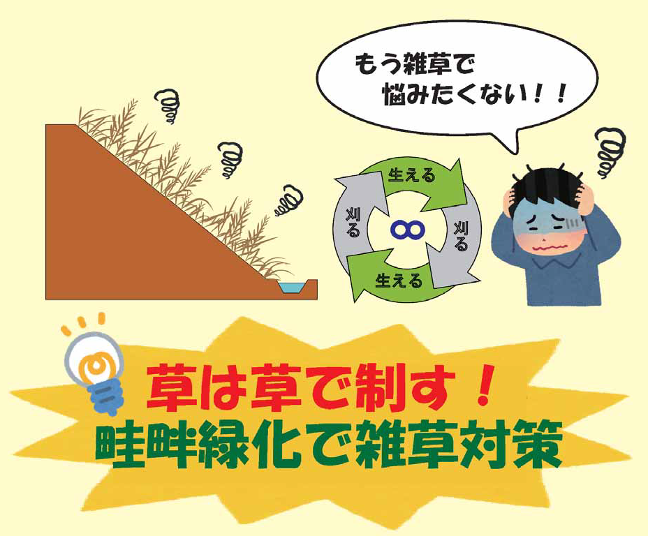 【雑草対策】法面緑化メーカーならではの草刈軽減法をご紹介！