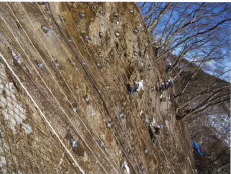 斜面対策工『高強度ネット工法』