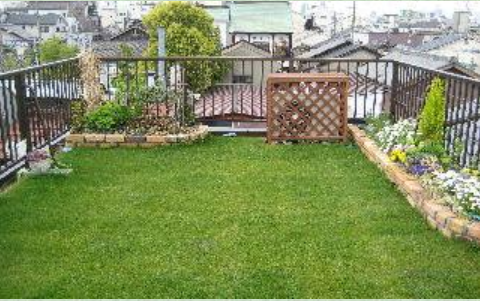 軽量緑化システム（西洋芝型）