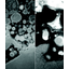 【Features of Z.R.C.】The secret of its super rust prevention power.