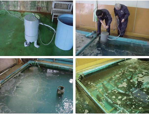 水産業におけるファインバブル活用例