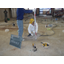 [Construction Case] Large Pachinko Parlor: Subfloor Settlement Correction Work (Miyagi Prefecture)
