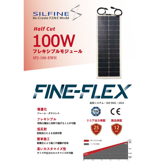 100W.jpg