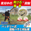 Battery-powered rotating scissors brush cutter "Super Calmer elex"