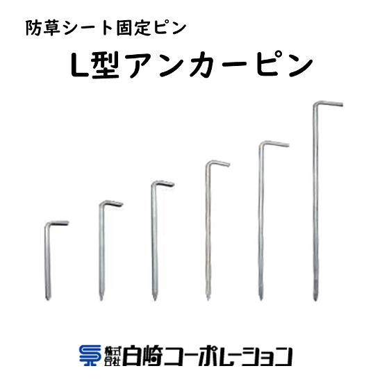 IPROS5331220432152866480.png