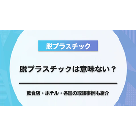 【脱プラスチック】脱プラスチックはなぜ「意味ない」と言われるのか