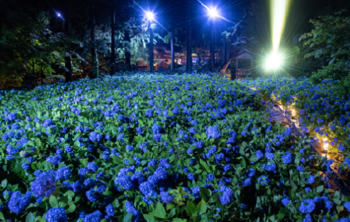 【事業紹介】イベント照明