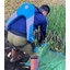 [Case Study of Muscle Suit] Onion Farmer [Agriculture]