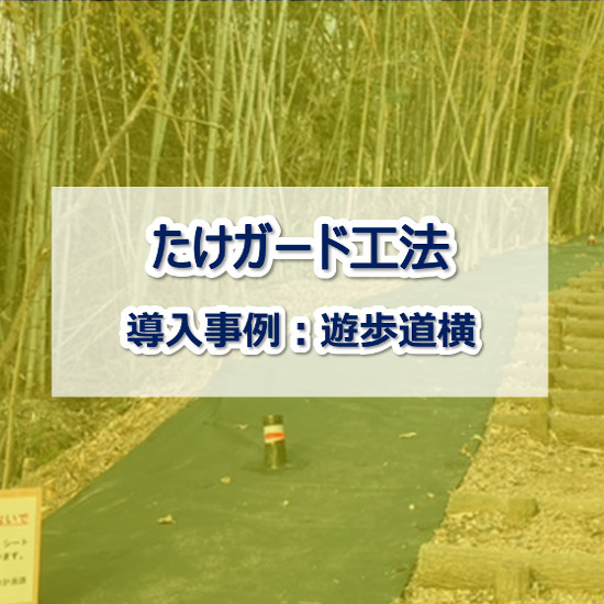 防草シート施工事例】たけガード工法 遊歩道横 | 白崎コーポレーション