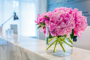 香り演出の導入効果事例【スポーツクラブ・フィットネスジム】