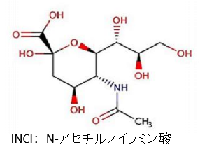 発酵由来N-アセチルノイラミン酸（シアル酸）