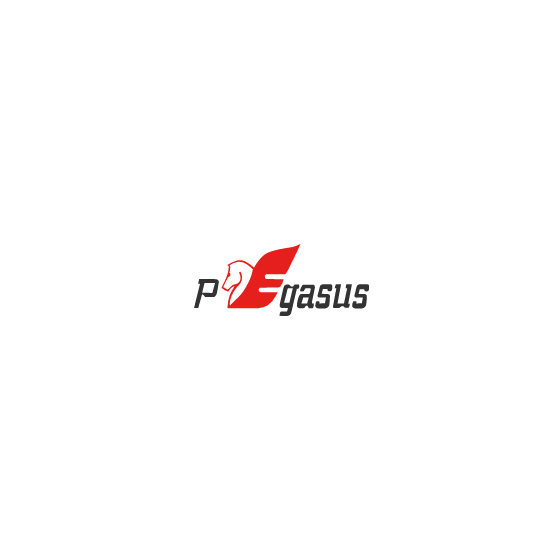 pegasus.PNG