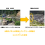 [Useful Information] Battery-operated water level gauge achieves cost reduction without the need for power!