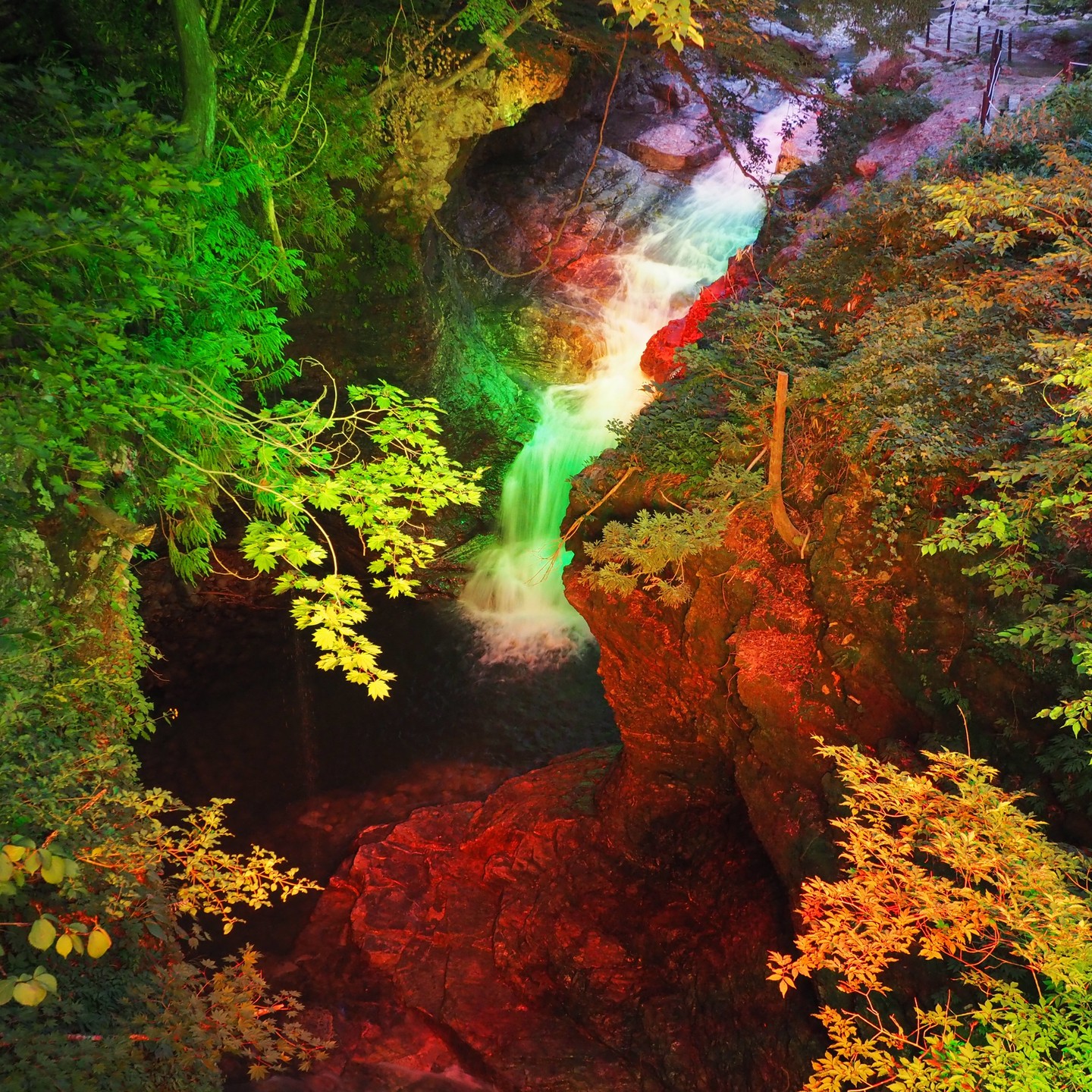 【事業紹介】景観・観光照明