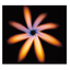 Swirl jet burner