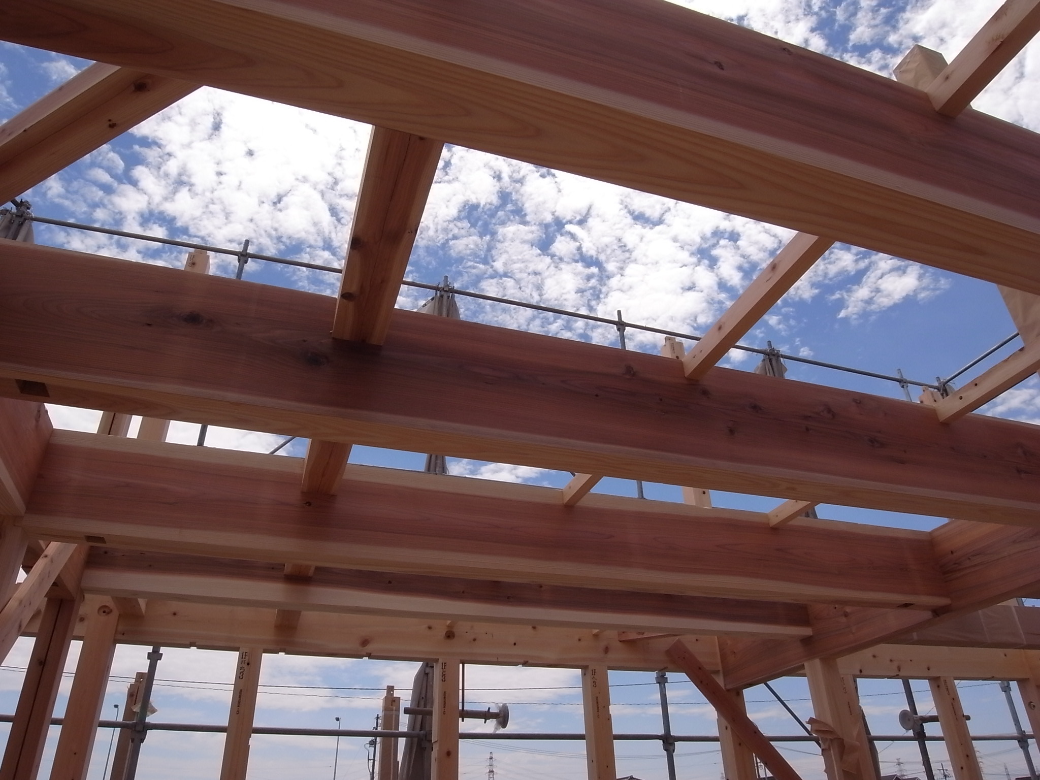 奥三河産　構造材