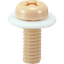 PPS (Polyphenylene Sulfide) Set Screw