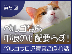 【ペットと暮ら  すお客様の実例紹介】ぺルゴなら爪痕の心配要らず！