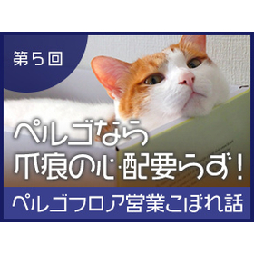 【ペットと暮らすお客様の実例紹介】ぺルゴなら爪痕の心配要らず！