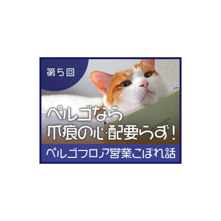 第5回.jpg