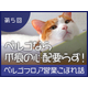 第5回.jpg