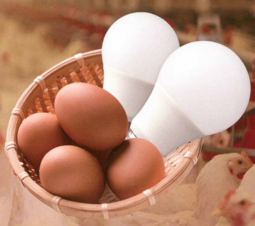 『ALEG Waterproof Lamp series』