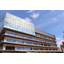Abundant use of Akita cedar! 【Estec Wood Case: New City Hall in Akita】